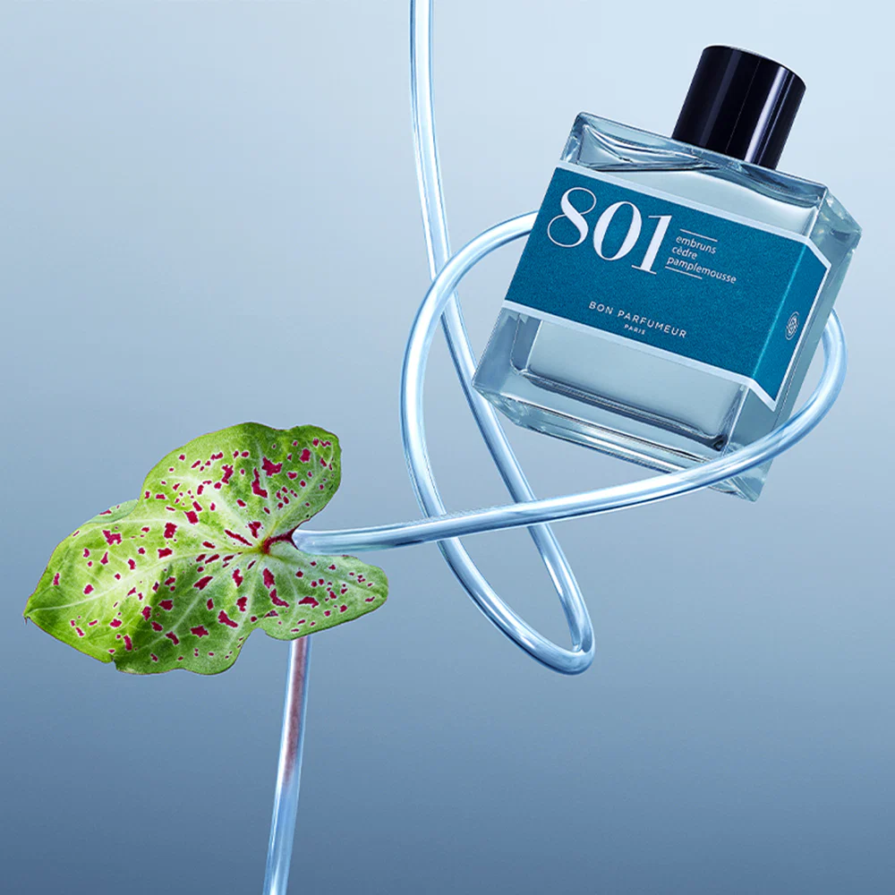 801 Sea spray, Cedar, Grapefruit - Image 2