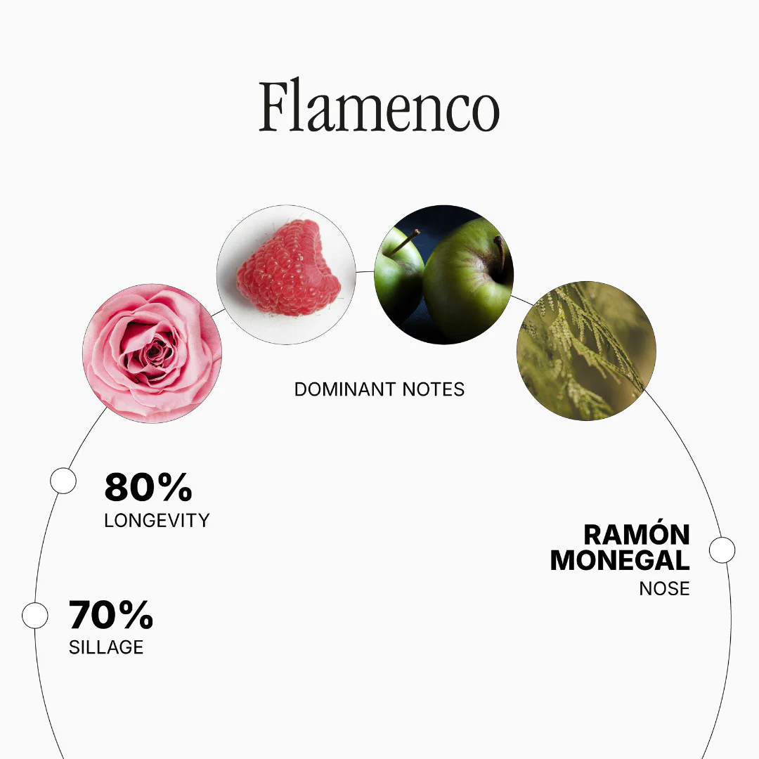 Flamenco - Image 2
