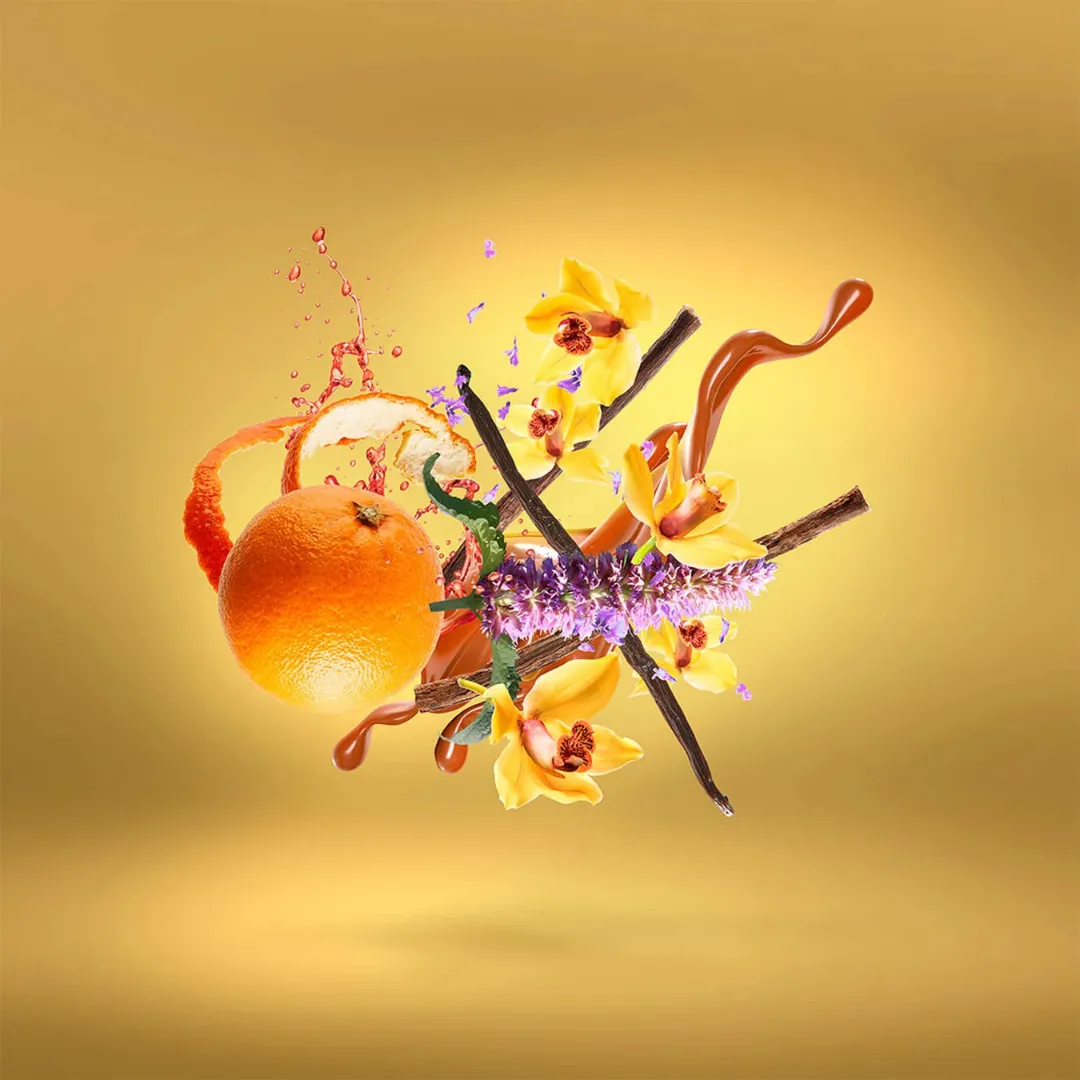 Lira - Image 3