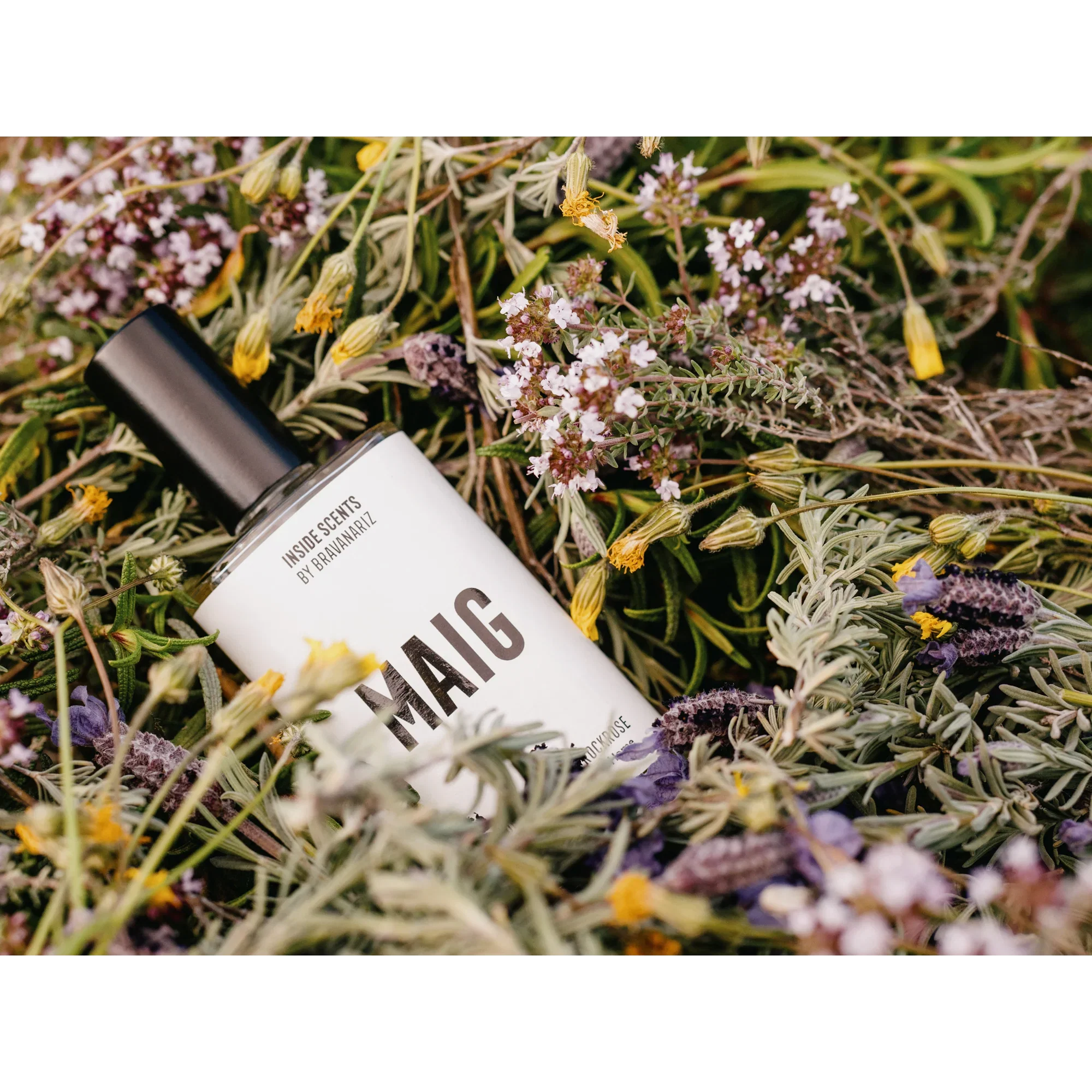 Maig - Image 3