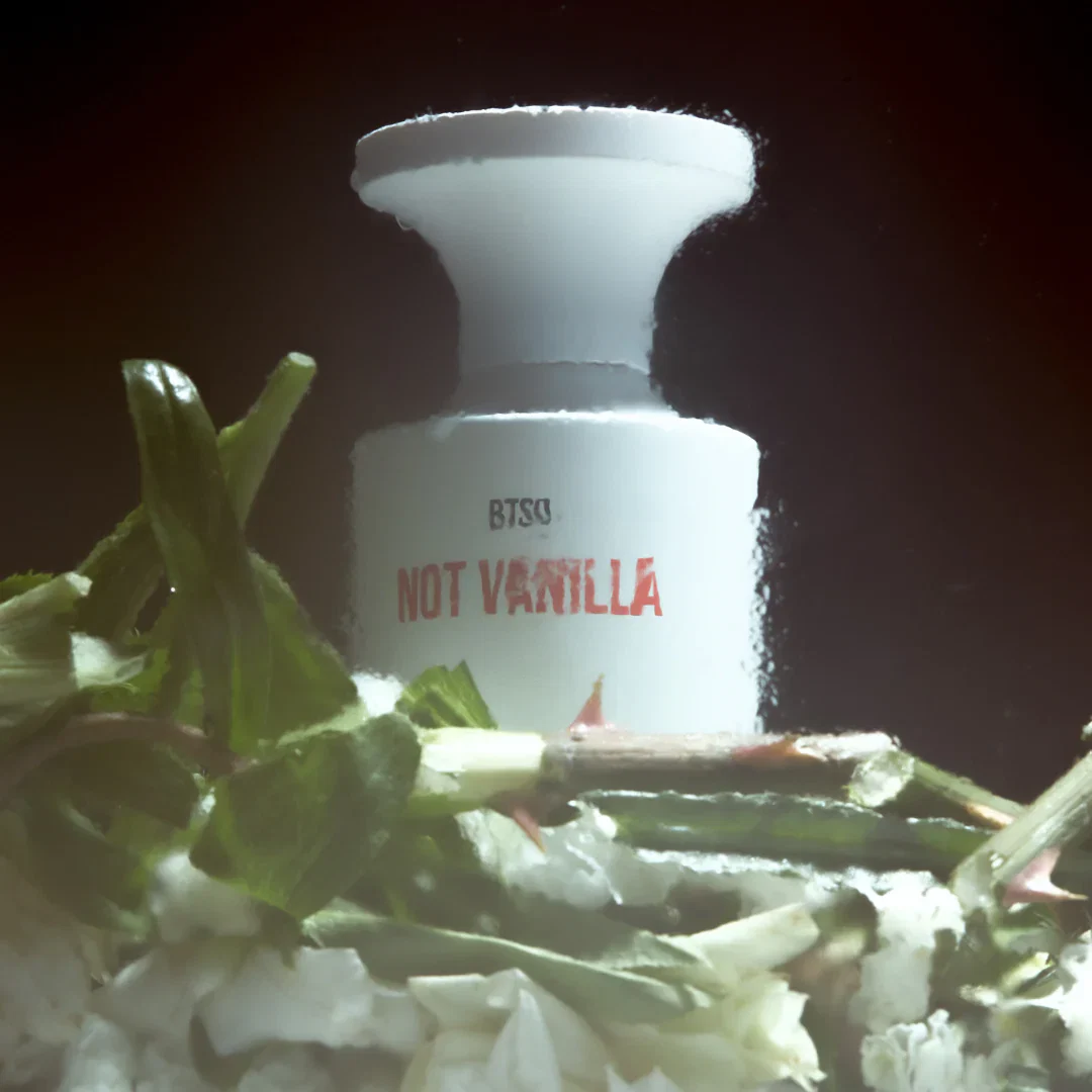 Not Vanilla - Image 2