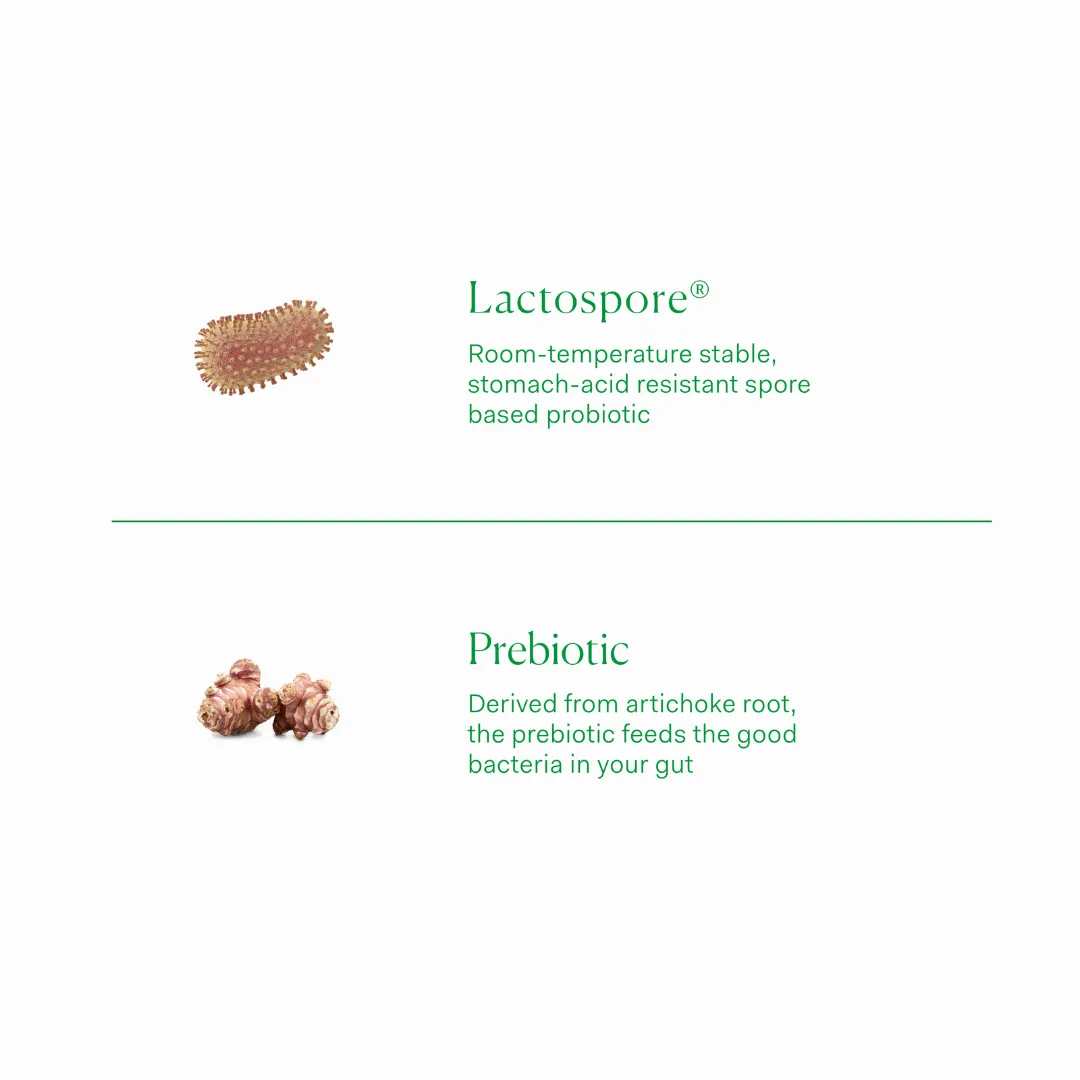 Gut Health - Prebiotic + Probiotic - Image 2