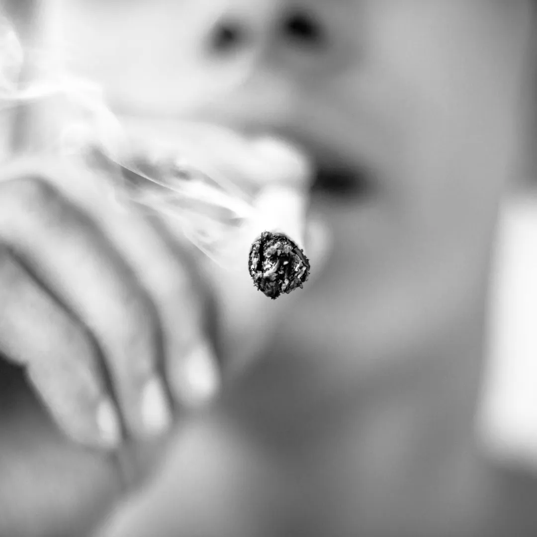 Smoke - Image 3