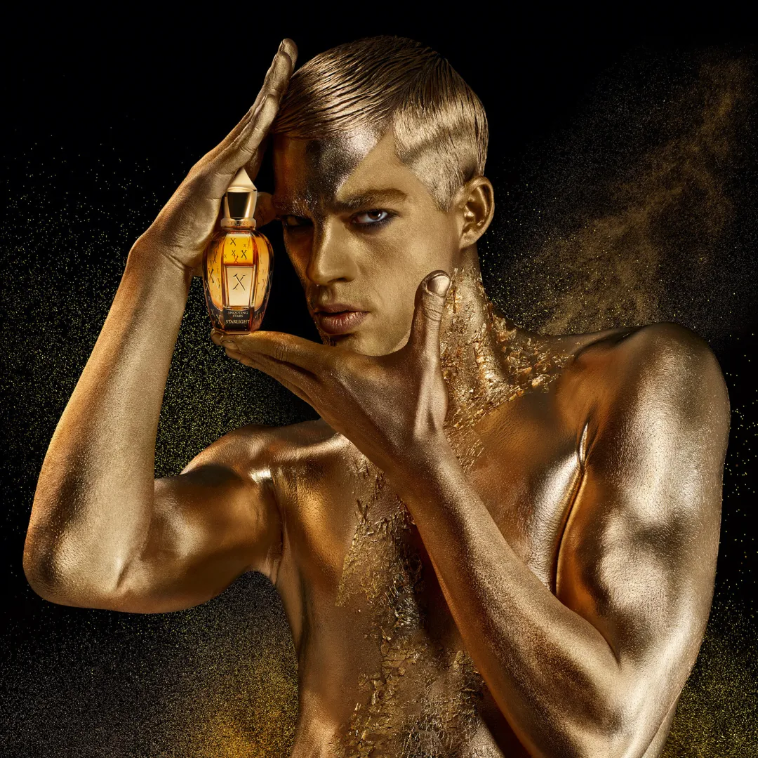 Starlight - Image 3