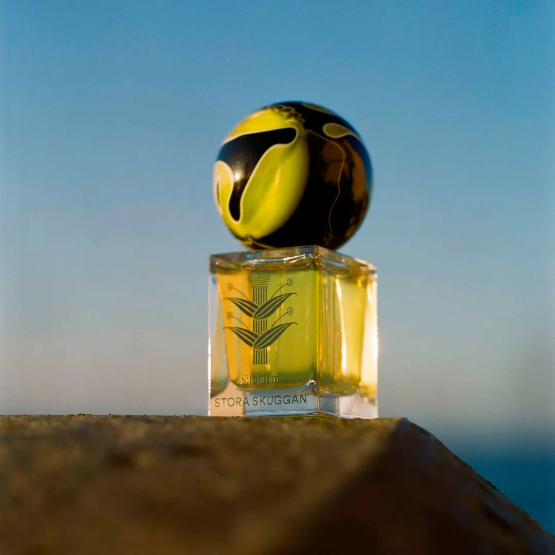 Silphium - Image 2