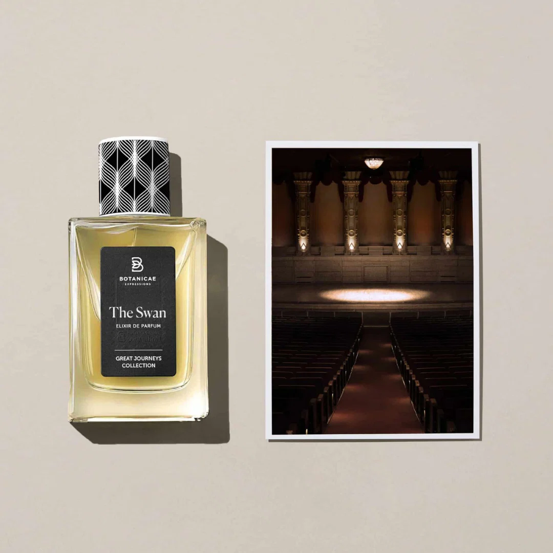 The Swan - Image 3