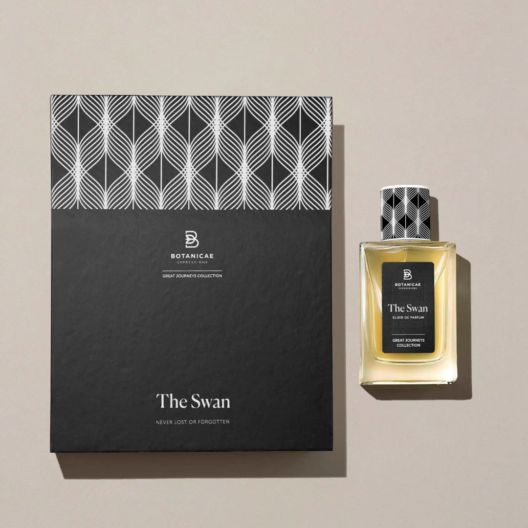 The Swan - Image 4